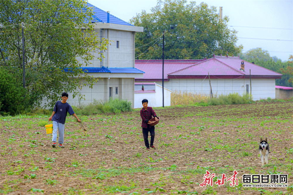 购机赠1TB云空间年卡 vivo S16系列火热预售中