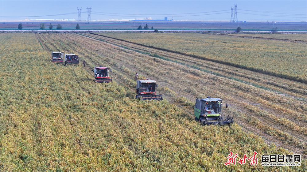 Stars turn on the style on Oscars red carpet - in pictures