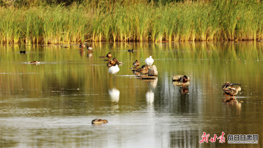 黄冈职业技术学院西校区硬核上线，拓展空间提升办学实力