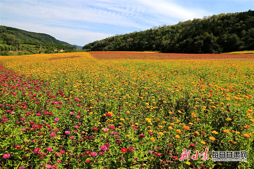 Who is Man City FA Cup hero Nico O'Reilly?