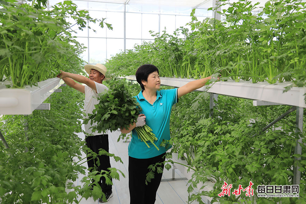 为何此地盛产凡人英雄？答案在这里