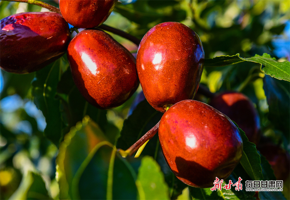 Russia's next move? The countries trying to Putin-proof themselves