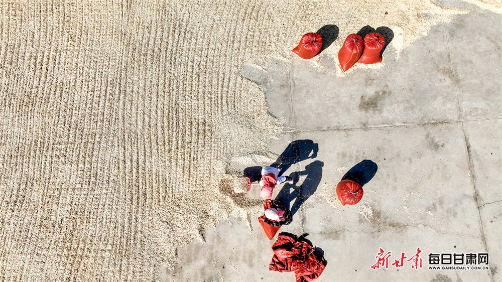 零跑汽车发布LEAP3.5 技术，全面加入高阶智能普及阵营