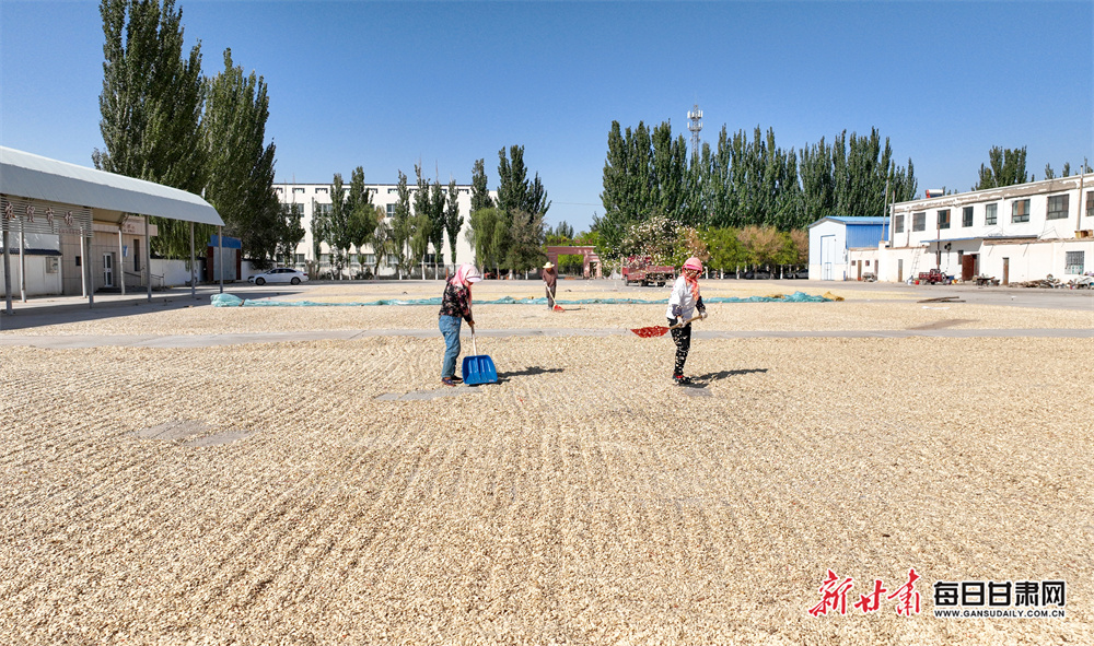 BBC reveals fighters accused of massacre in Sudan