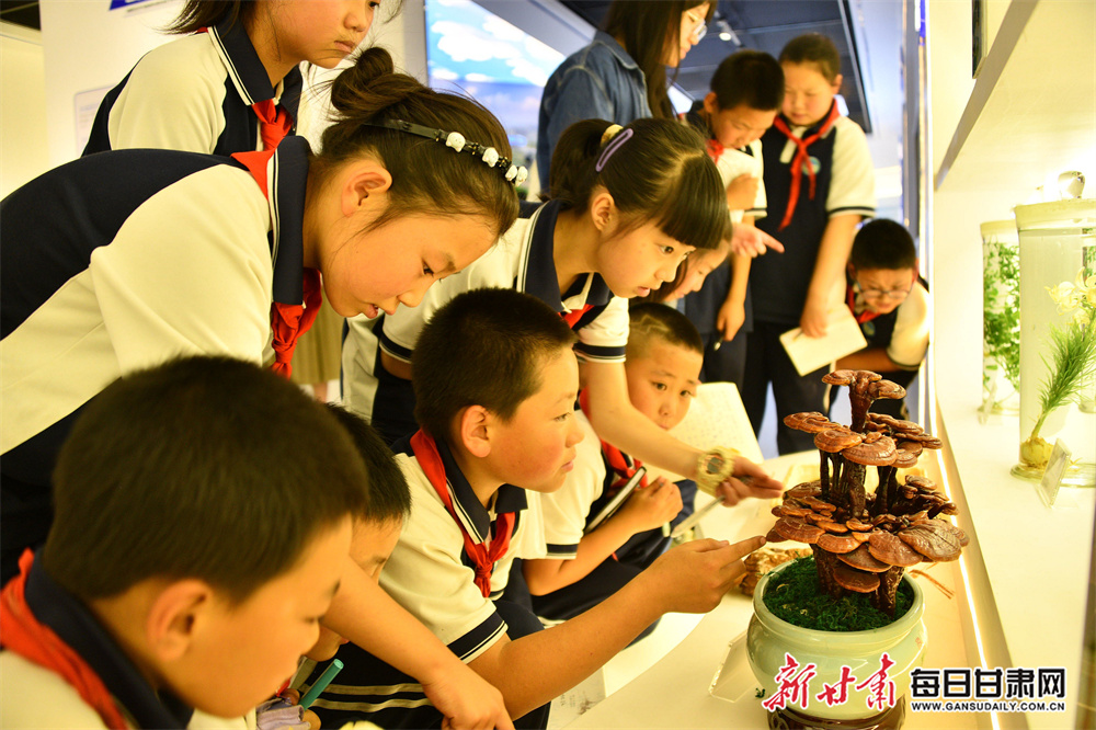 Scottish clubs can postpone league match for European play-offs