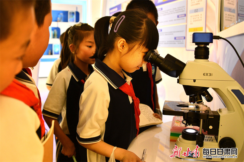 大理的小院子房价（大理小院子别墅出售）