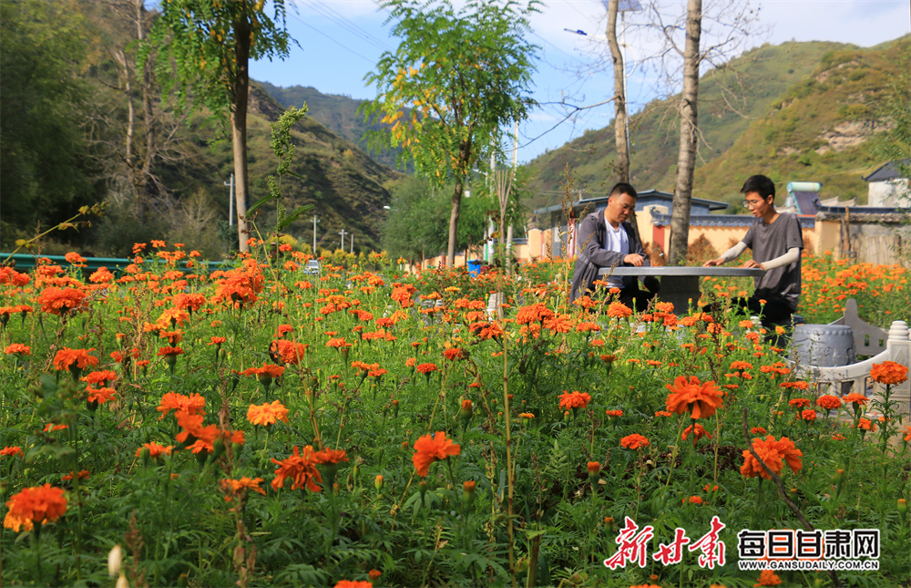 数智驱动	，全栈赋能
！ 亚信科技发布云网、数智、数据库系列产品及技术丛书