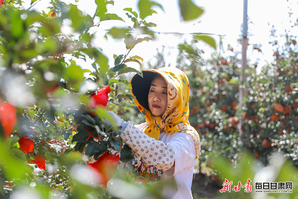 雷军喜提小米SU7 Ultra新车：在北京路上看到鹦鹉绿，也许就是我