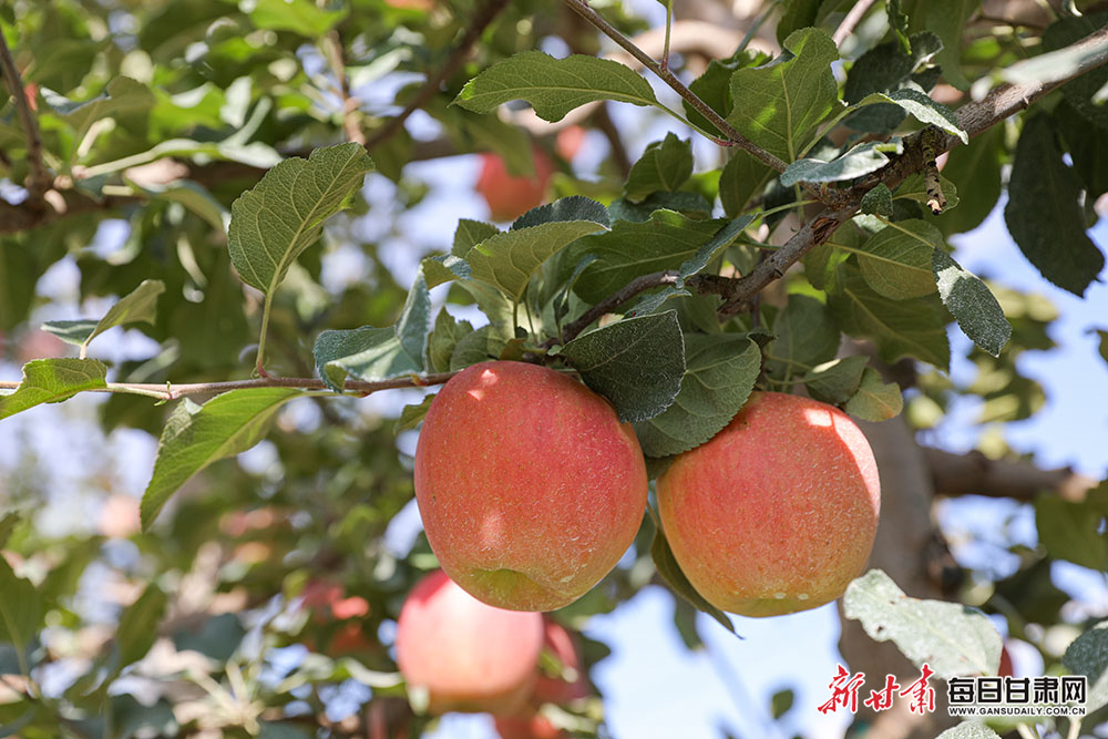 东湖上演“鼓上舞蹈”