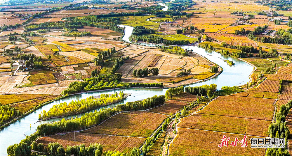 台州路桥桐屿：年后“首拍”开工 掀起建设热潮