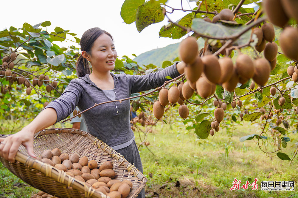 RNLI crews helped save five lives in 2024
