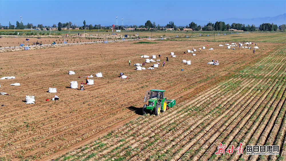 农村100款漂亮外墙（农村100款漂亮外墙图片大全）