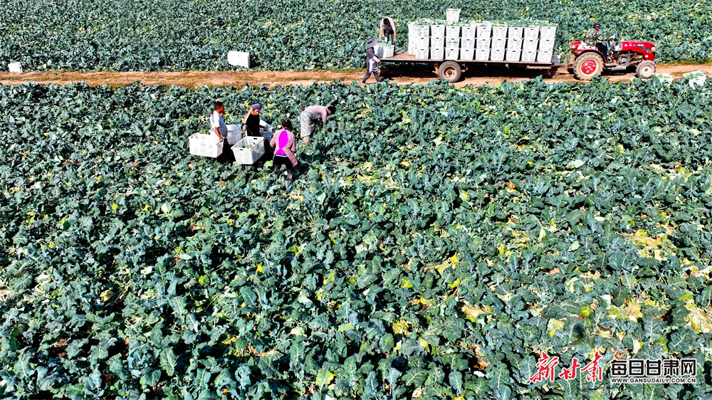 Ukrainian refugee premieres second documentary