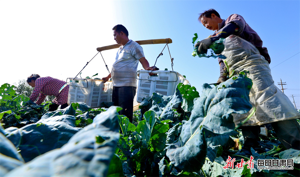 Price keen to deliver on Wales return in Premier League