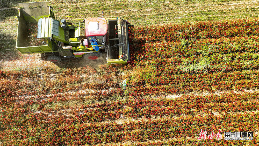 不节食不猛练 内蒙古中医减肥门诊成新宠