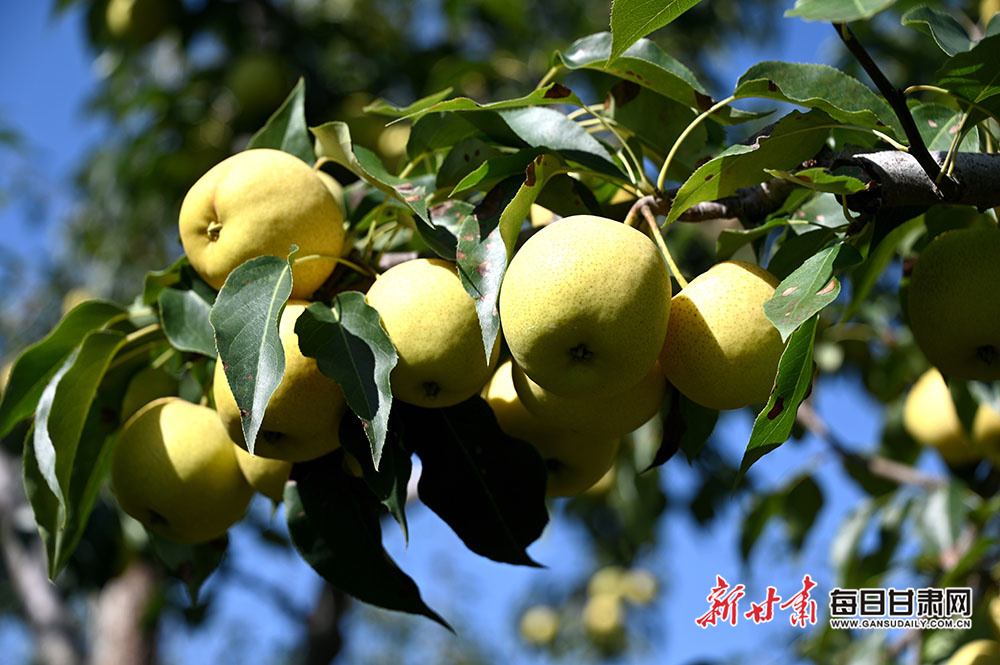 Six-month driving test waits in some areas, AA says