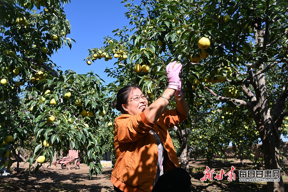 'So surreal' - teenager Eala stuns out-of-sorts Swiatek