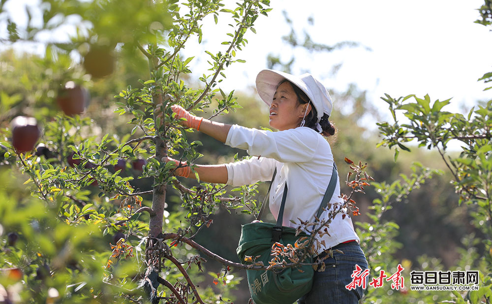 安卓旗舰新路径：学习苹果，打造生态，迈向超越