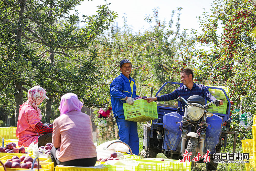 安卓旗舰新路径：学习苹果，打造生态	，迈向超越
