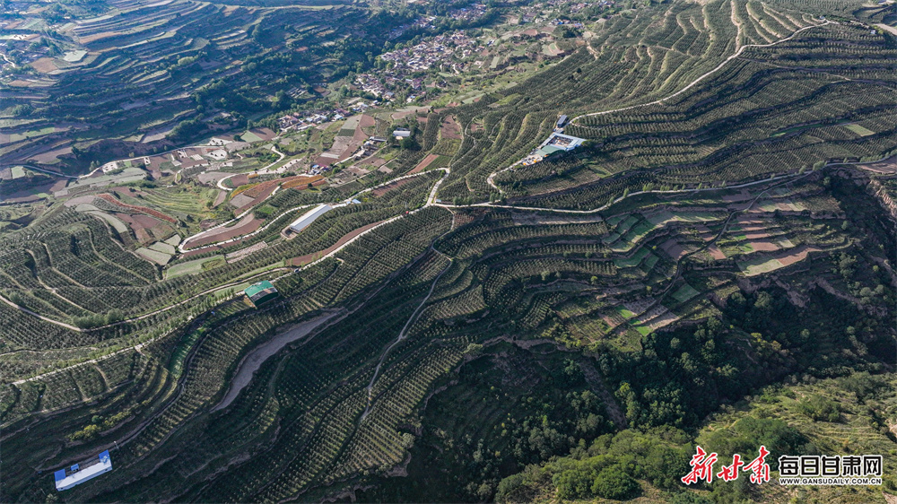 湖北一高校购置存量商品房当学生宿舍：拟投资近2亿元，校区与小区仅一路之隔