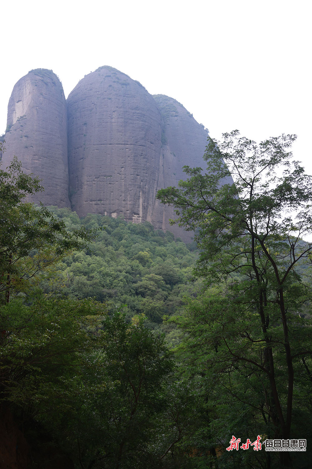 Nigerian boxer dies after collapsing mid-bout