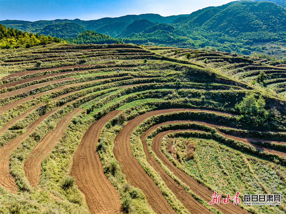 数智驱动，全栈赋能！ 亚信科技发布云网	、数智、数据库系列产品及技术丛书