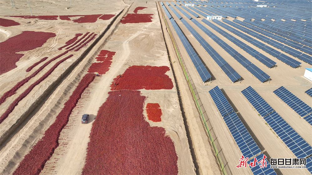 Tray bien! Man's 1,500-strong beer memorabilia haul