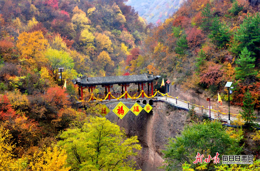 'The fastest job interview in the world'