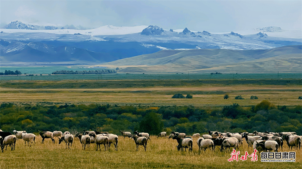 Russian ships return to Syrian base ahead of expected withdrawal