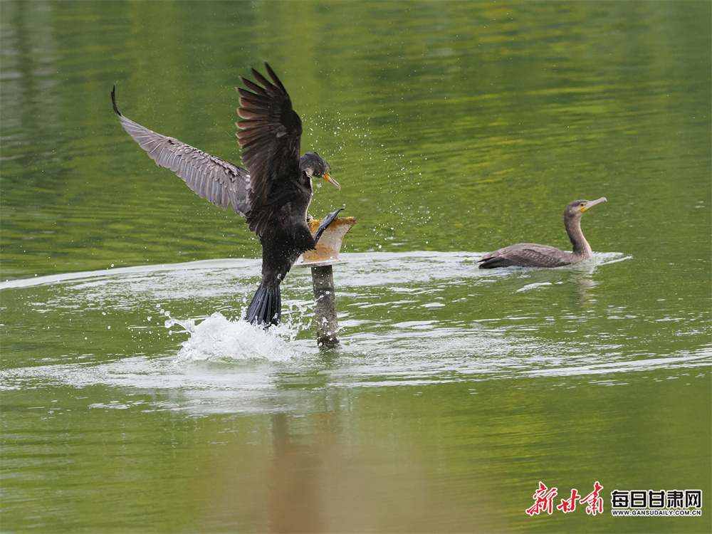 iPhone16下半年产量飙升，预计达8670万支！年增8%	，果粉心动不已 ？