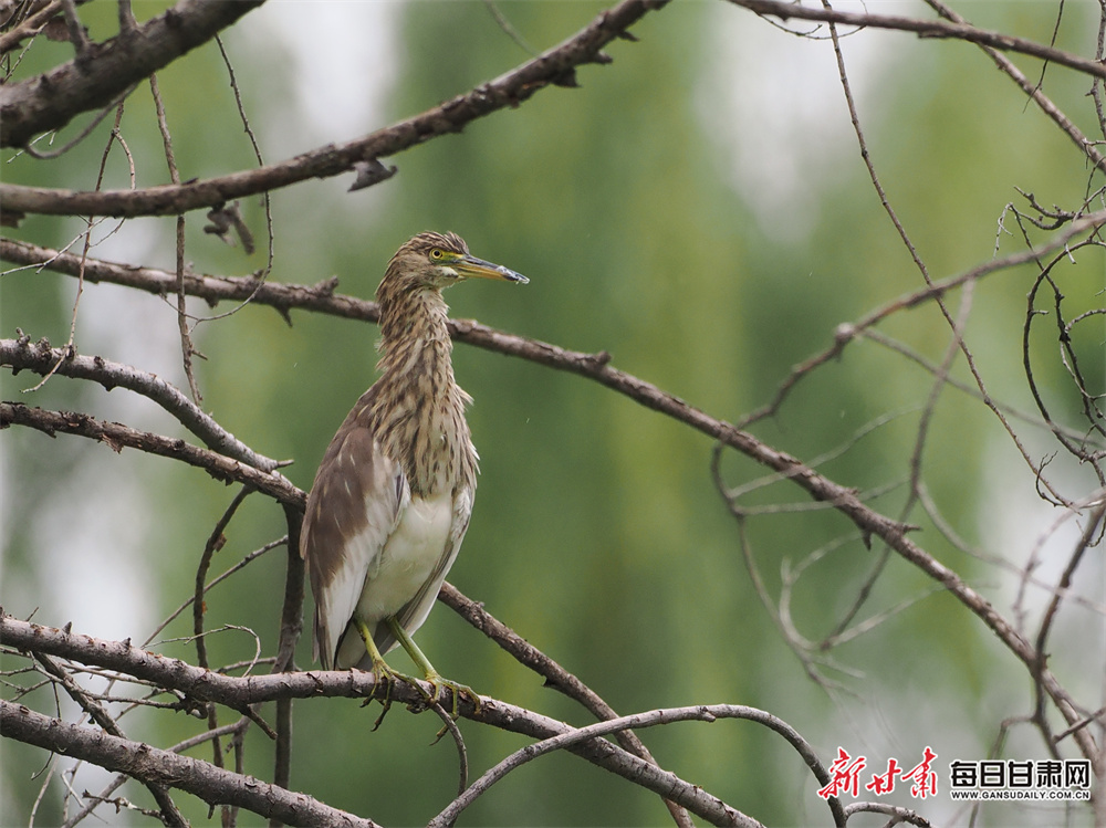 李晟回应“浪姐6”断层第一：昨天到现在都蒙着