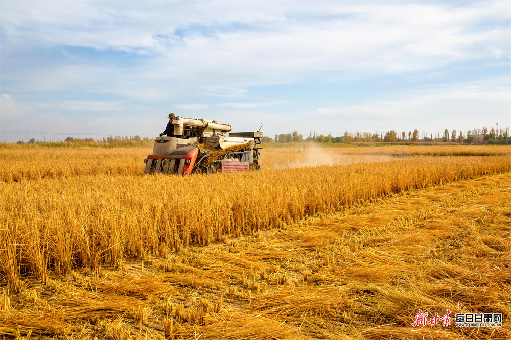 三房一厅出租房屋（套房出租三室一厅）