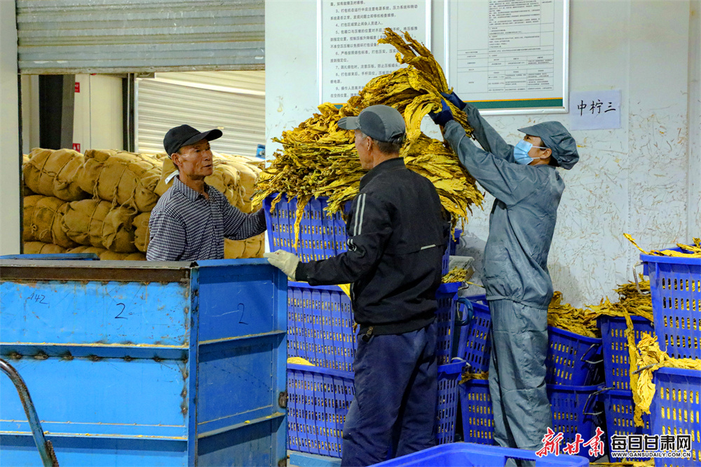 山东青岛“开往春天的列车”，带您感受山海浪漫