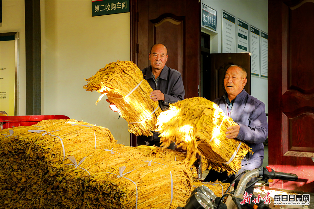 O'Mahony could make Munster return at La Rochelle