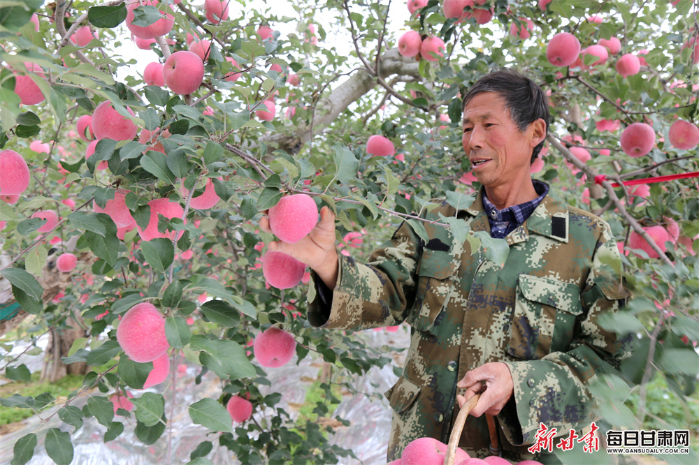 女博士郑晓萱火了：一边发顶刊，一边举重破纪录！