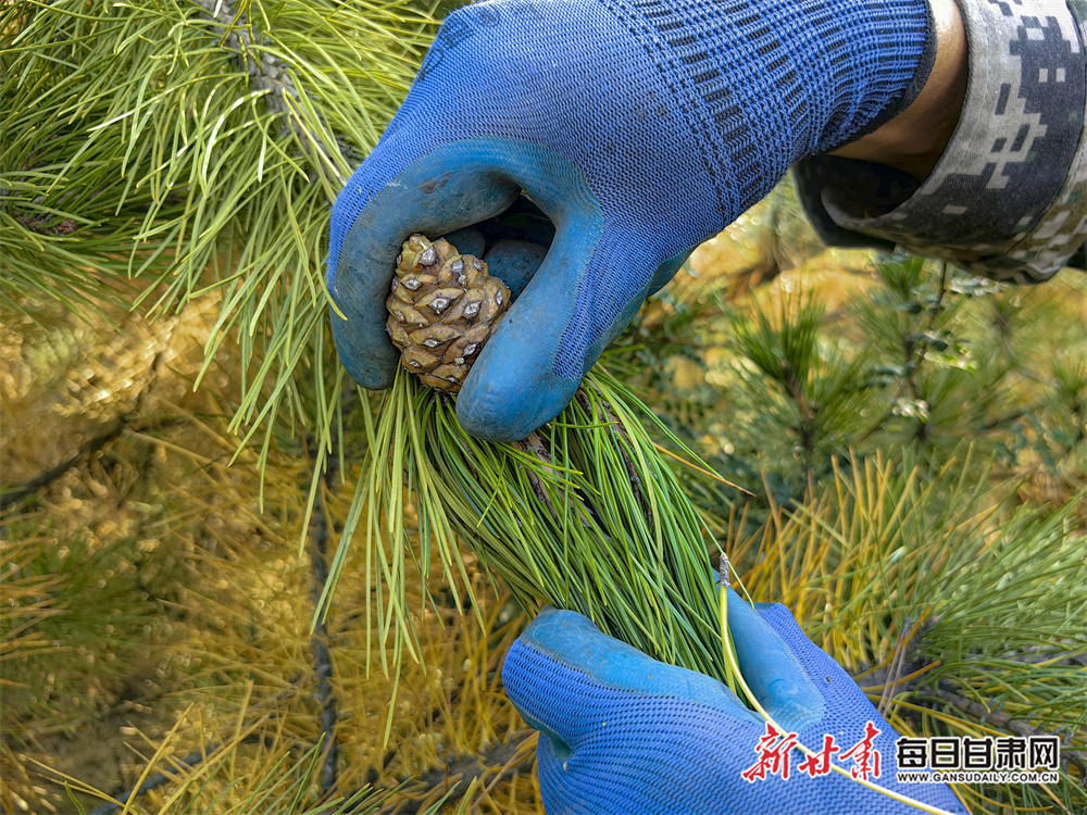 金华二手房网安居客（安居客金华二手房源）