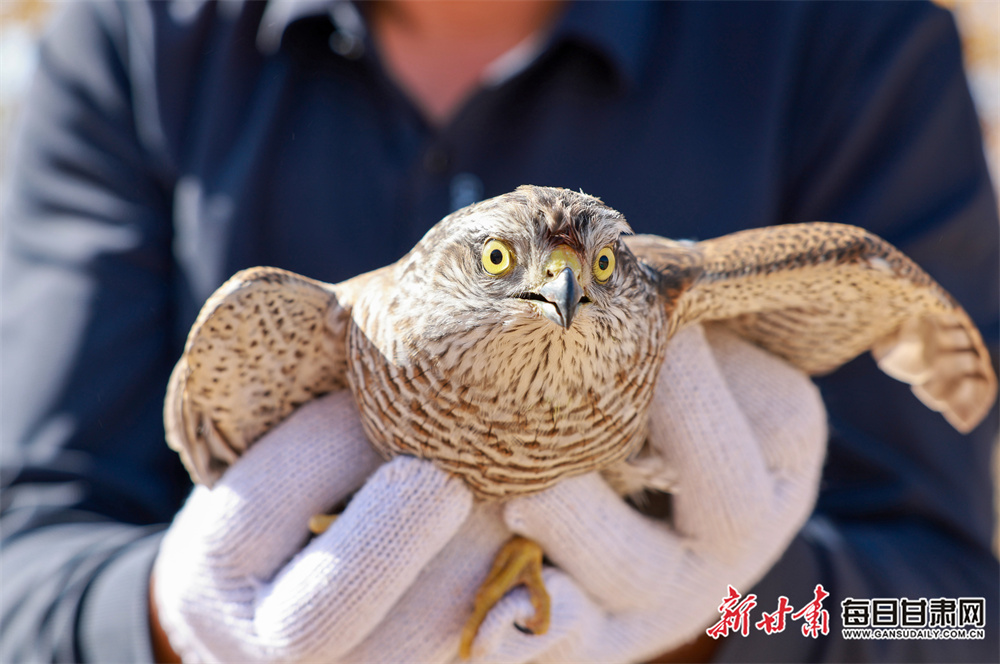 支付上限提至50万，最长可贷7年，谁将受益？