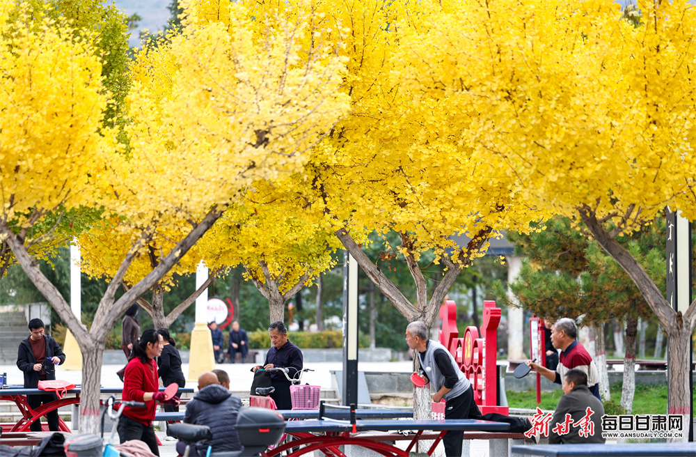 雷军再次发文晒武大樱花照，新头像被网友称赞：好帅！