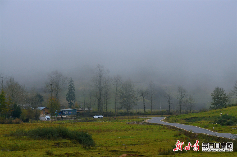 Premier League Darts schedule, results, prize money