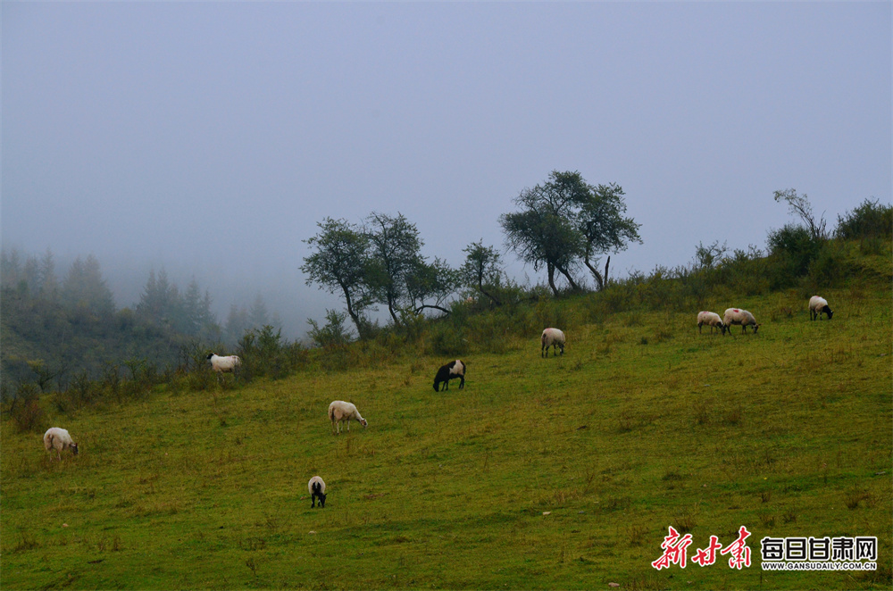 The green and easy way to liven up basic recipes