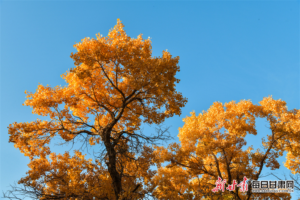 华为Watch 4 Pro轻巧便携，成为时尚佩戴首选