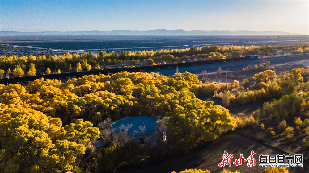 Ukrainians lose out on jobs and homes over visa uncertainty