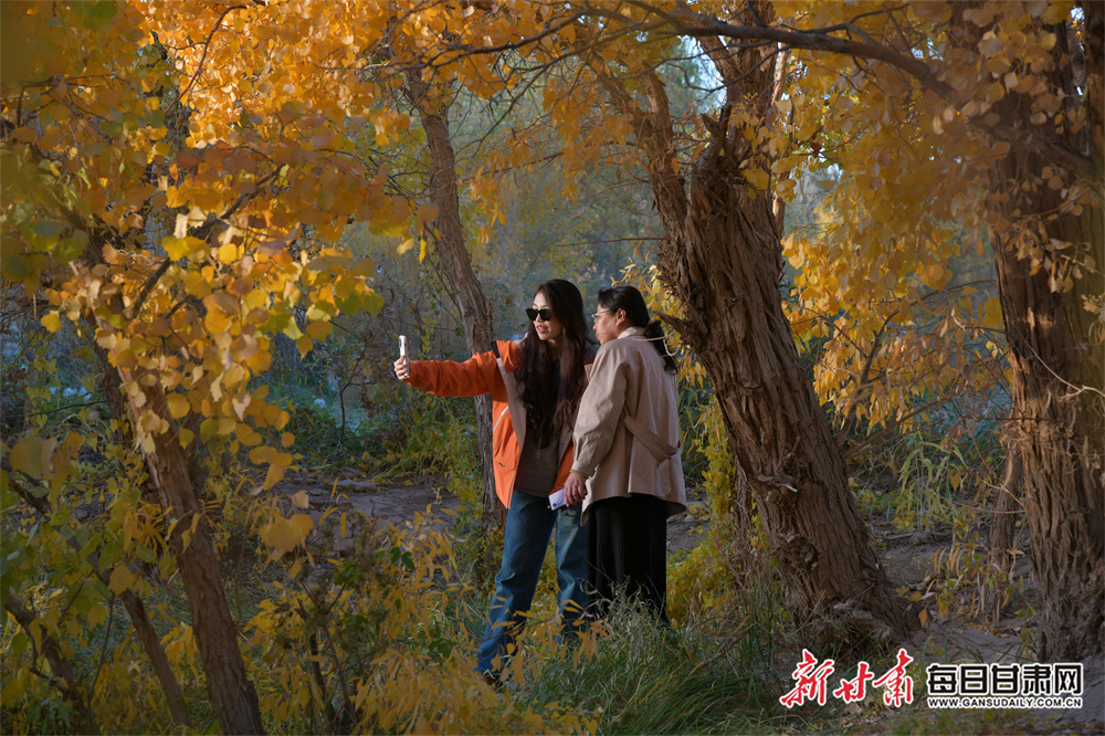 New Zealand Rugby and Ineos settle deal dispute