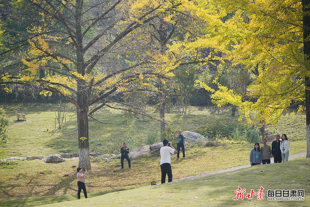Spring tides lead to ferry timetable changes