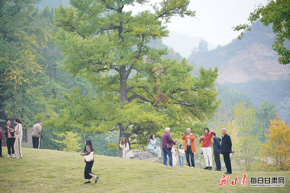 兰州租房（兰州租房网）