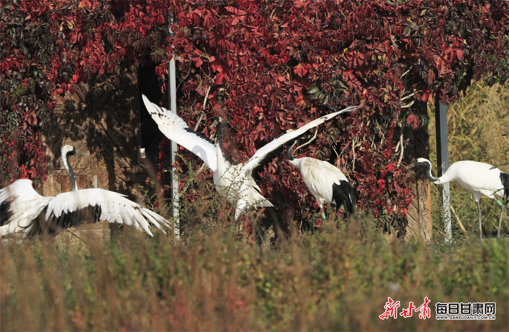 Dundee report ￡2.8m loss for year to May 2024