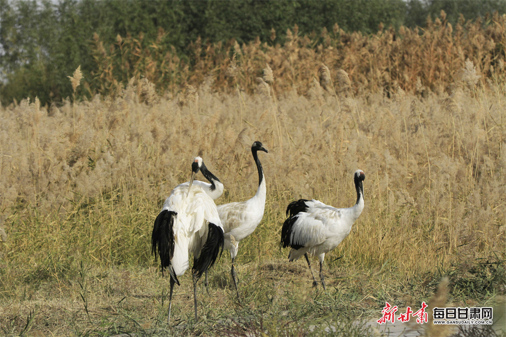 Officer 'didn't think of consequences' of text to colleague