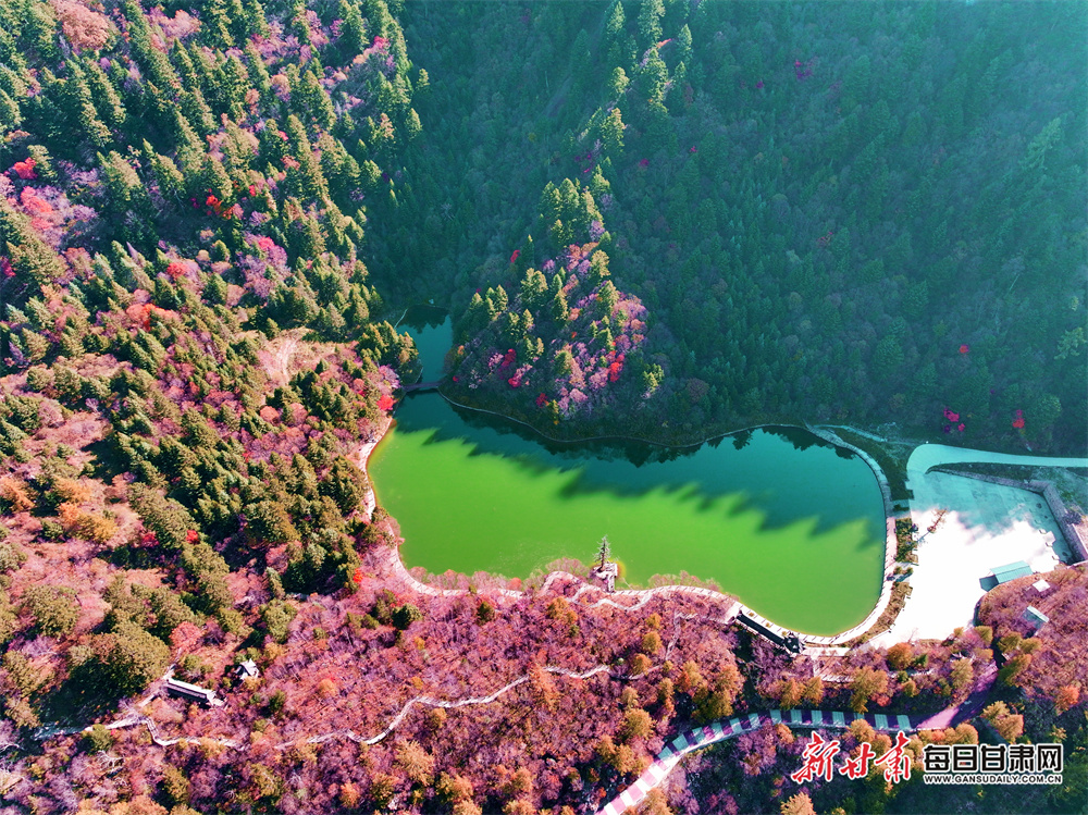 Former UFC champion Velasquez jailed for attempted murder