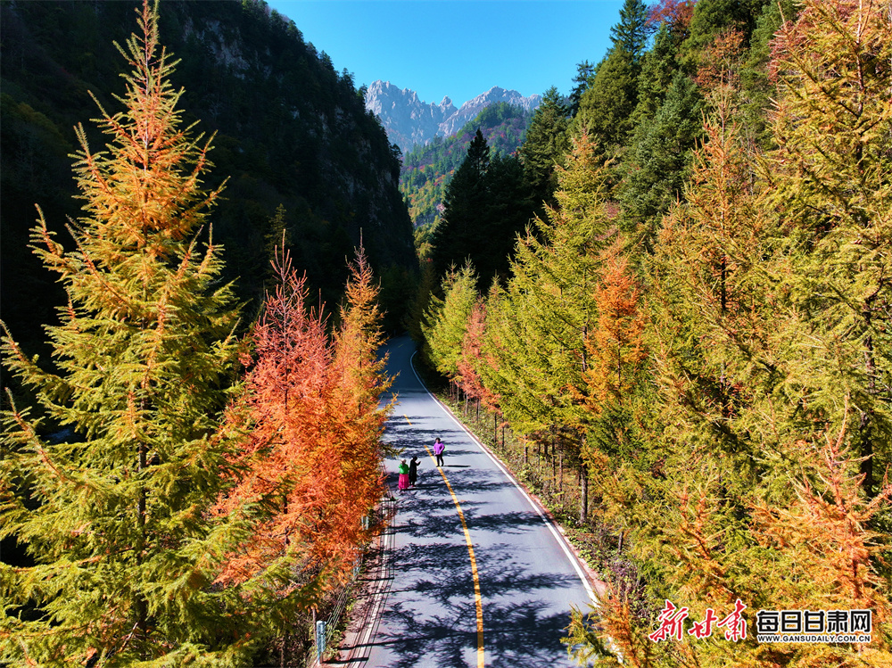 Salman Rushdie to release first fiction since stabbing