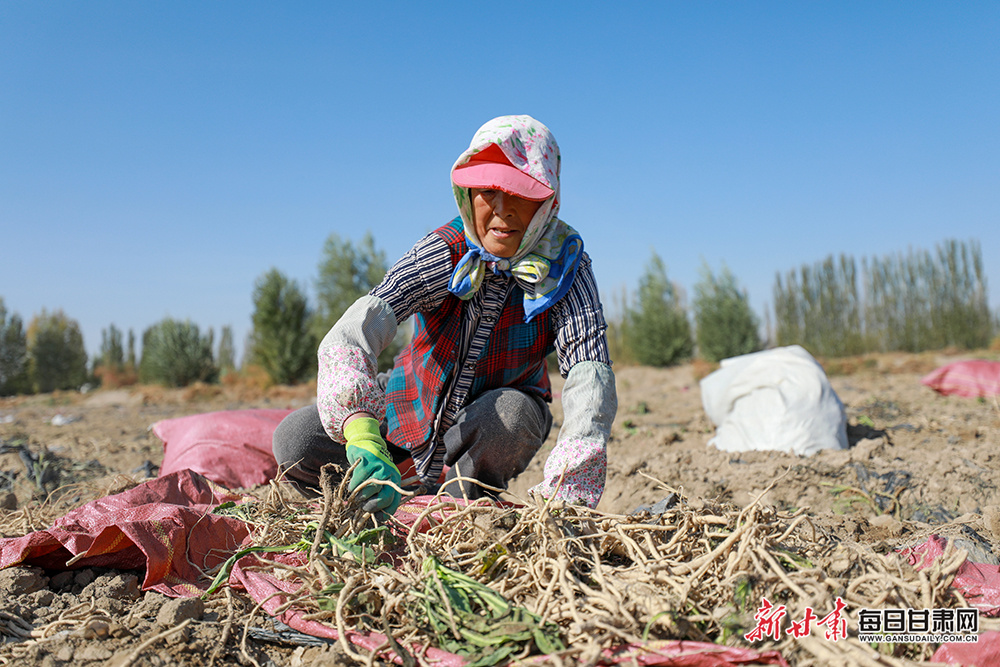 平谷租房个人出租房（平谷租房个人出租房信息）